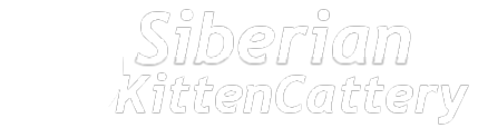 Siberian Kittens OH